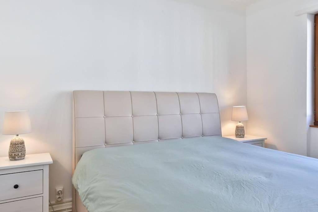 Suite Tres Moderne Et Cosy, Proche Centre-Ville, Mulhouse Centre Eksteriør billede