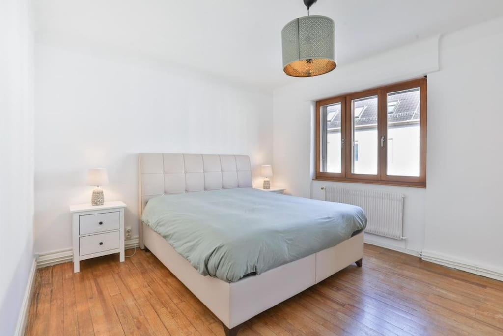 Suite Tres Moderne Et Cosy, Proche Centre-Ville, Mulhouse Centre Eksteriør billede